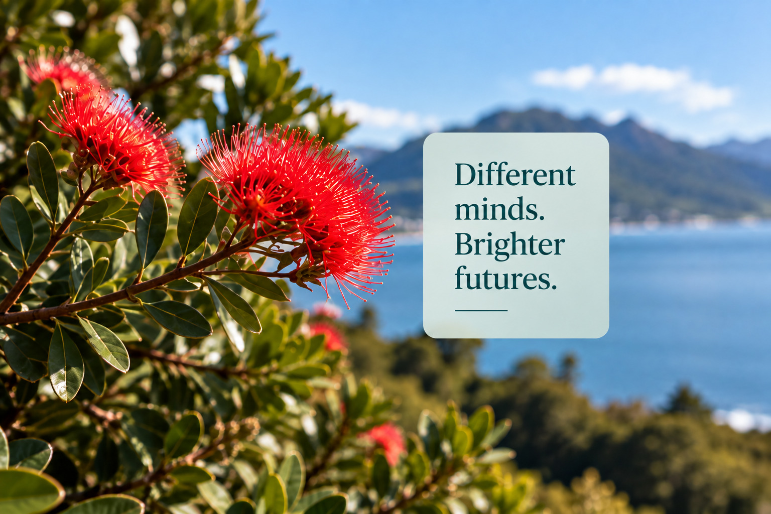 Red pōhutukawa flowers above a Australia bay with the words Different minds. Brighter futures.